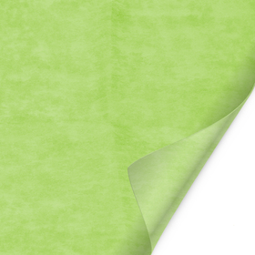 Sheet Nonwoven 40x40cm green
