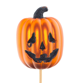 Halloween Pumpkin Scary Harry 2.75in on 20in stick