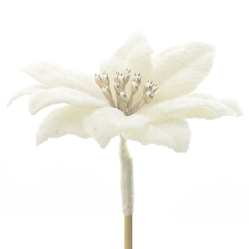 Flower Poinsettia 10cm on 50cm stick white