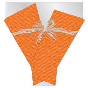Sleeve Raff 54x44x12cm orange with colour inside