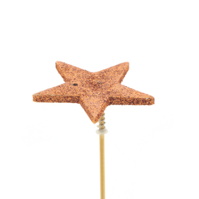 Star glitter 6cm  on 30cm stick brass