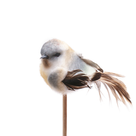 Bird Tommy 11cm on 50cm stick blue
