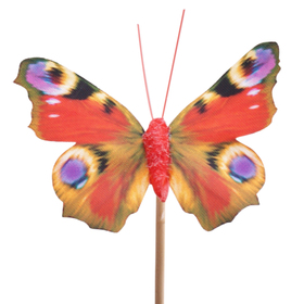 Schmetterling Auralia 8cm auf 50cm Stick orange