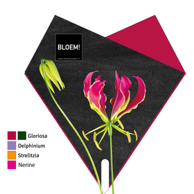 Sleeve Doublé BLOEM! 53x44cm FSC Mix red