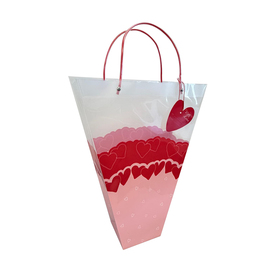 Carrybag Rosa 18x14x5in
