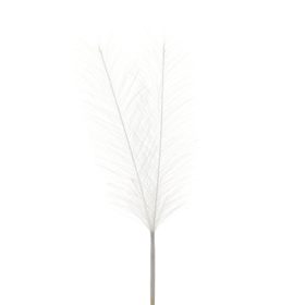 Feather Novi 20cm on 45cm stick white