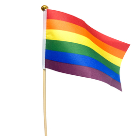 Bandera Pride 6x4in en palo 20 in