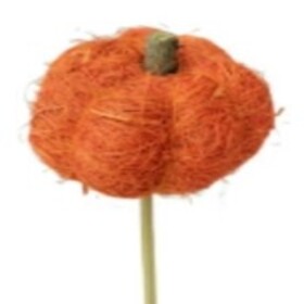 Fibra Pumpkin Brown Stem 6cm on 50cm stick orange