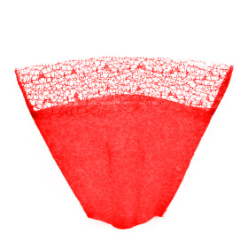 Hoes Nonwoven Deluxe Top 40x50x19cm rood