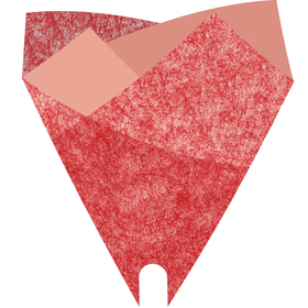 Smartsleeve Louise 90 % PCR 20x20in rojo