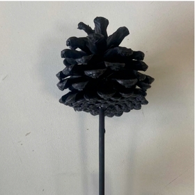 Pinecone 4-6cm on 36cm stick black FSC*