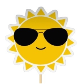 Sun with Shades 8cm wooden pick on 50cm stick