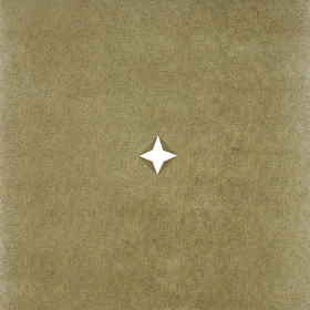 Non Woven Burlap Look 20x20in natural + x