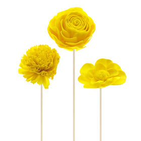 Sola Flowers 8cm auf 50cm Stick gelb gemischt x3