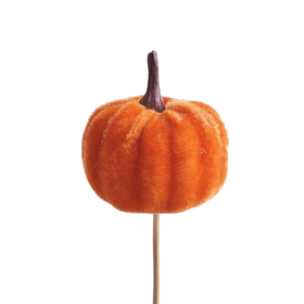 Velvet Pumpkin 5.5cm on 50cm stick orange