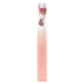 Sac Single Rose Cherished Moments 7x7x60cm rose