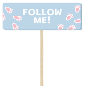 Follow Me 4.6x11cm on 43.4cm stick FSC*