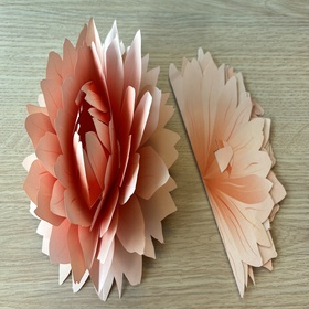 Fold-out Dahlia 19 cm FSC*