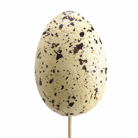Kievits Ei Plover 7cm auf 50cm Stick natürlich