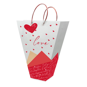 Carrybag Love Poem 18x14x5in red