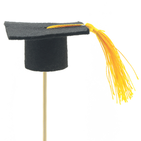 Hut Abschluss 6,5cm auf 50cm Stick