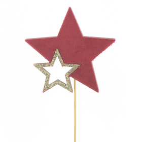 Star Avior 8,5cm op 50cm stok FSC Mix rood