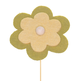 Blume Felice 8cm auf 50cm Stick grün