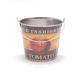 Zinc Bucket Old Fashioned Tomato Ø5 H4.5 in