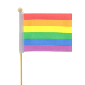 Pride Flag 8x11cm on 50cm stick