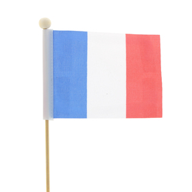 Franse Vlag 8x11cm op 50cm stok