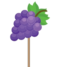 Fruit Grapes 7cm on 50cm stick