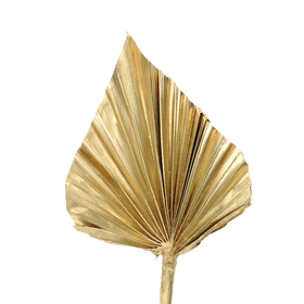 Palm Spear 12-15cm on 50cm stick gold