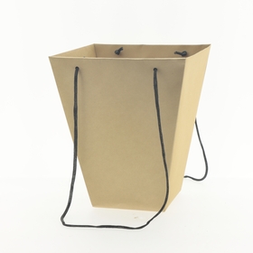 Carrybag Cardboard 23x13x28cm FSC*