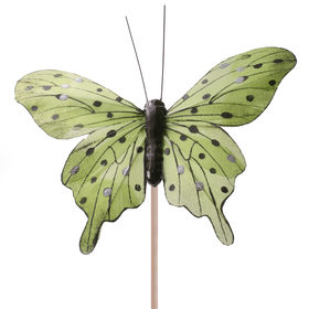Schmetterling Tropicana 8cm auf 50cm Stick grün
