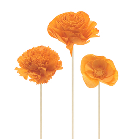 Sola Flowers 8cm auf 50cm Stick orange gemischt x3