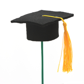 Birrete de graduation 3D 6.5cm x 6.5cm en palo plastic negro
