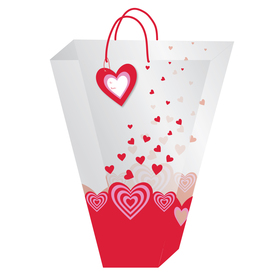 Carrybag Express Your Love 18x14x5 in