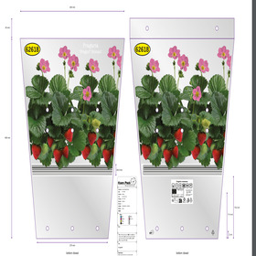 Plant sleeve Erdbeeren 54x40x27.5cm Roman 2025 Janssen