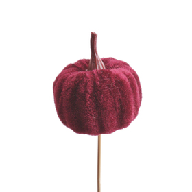 Velvet Pumpkin 5.5cm on 50cm stick burgundy