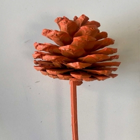 Pinecone 4-6cm on 36cm stick orange FSC*