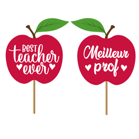 Best Teacher Ever Apple 7cm on 50cm stick (French/English)