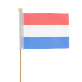 Nederlandse vlag 8x11cm op 50cm stok