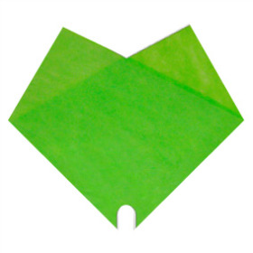 Hoes Doublé Uni 35x35cm groen
