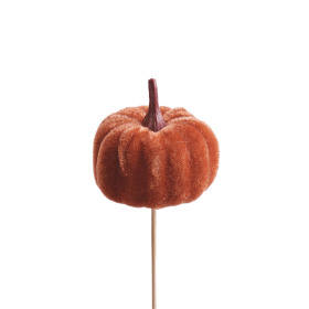 Velvet Pumpkin 5cm on 10cm stick brown
