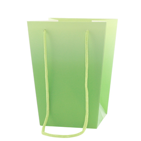 Carrybag Noor 15/15x11/11x20cm FSC* green