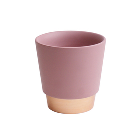 Maceta de cerámica Elegante 5in rosado