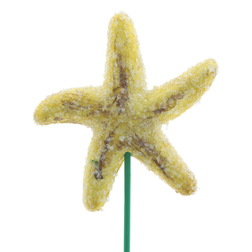 Starfish 4.5in on 20in stick
