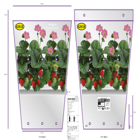 Plantsleeve Erdbeeren 54x40x27.5cm White Beltran 2025Janssen