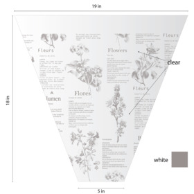 Capuchón Botanic Vibes 18x19x5in clear