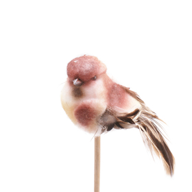 Bird Tommy 11cm on 50cm stick burgundy